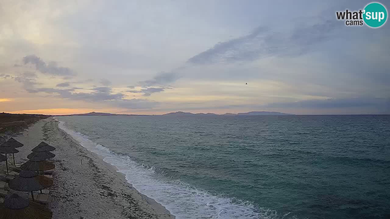 Playa Le Saline camera en vivo Stintino – Cerdeña