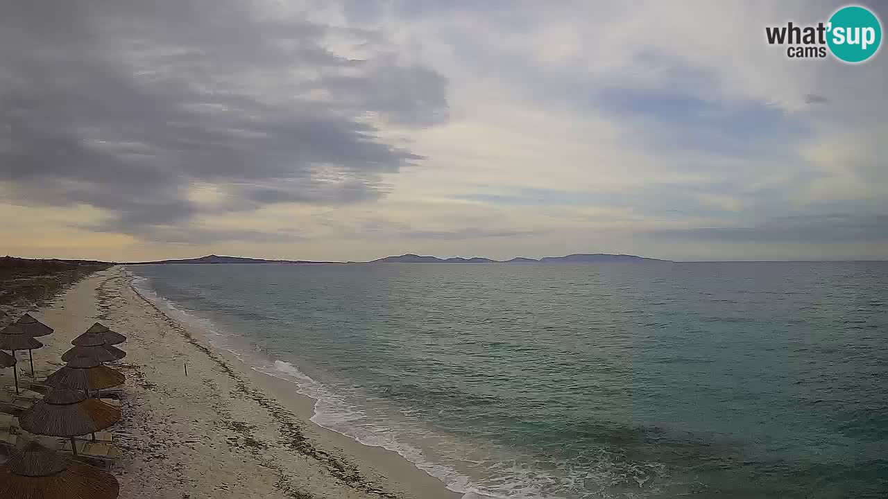 Spiaggia Le Saline webcam Stintino – Sardegna