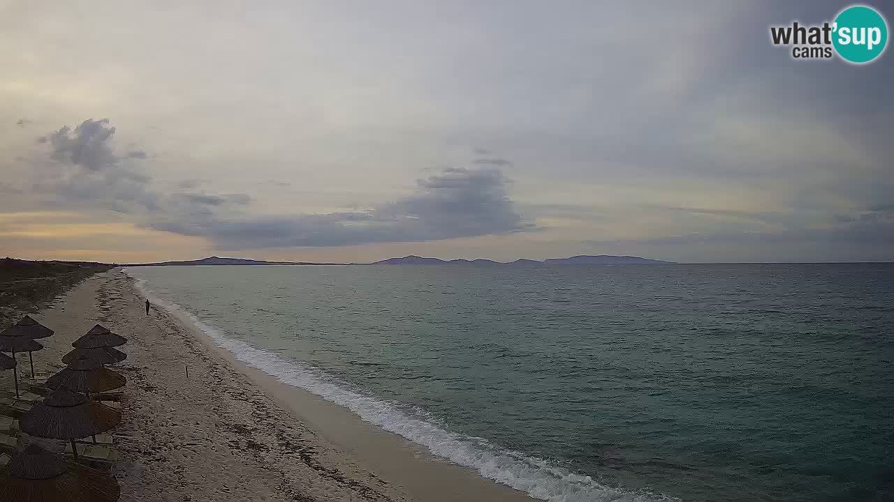 Beach Le Saline webcam live Stintino – Sardinia