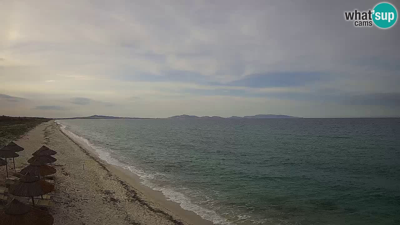 Beach Le Saline webcam live Stintino – Sardinia