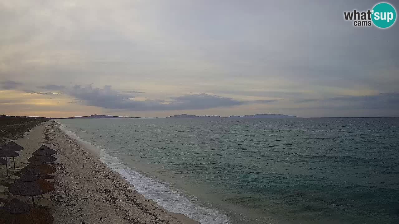 Beach Le Saline webcam live Stintino – Sardinia