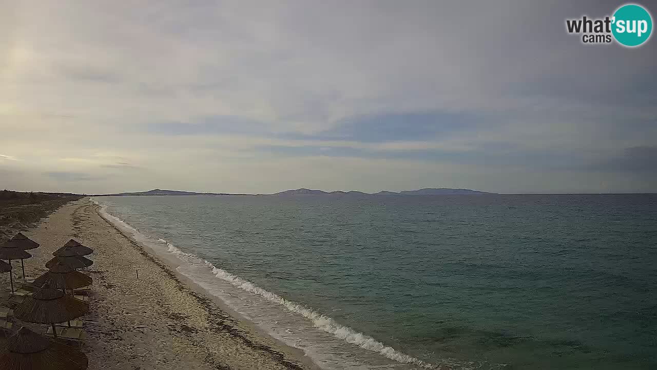 Strand Le Saline webcam Stintino – Sardinien