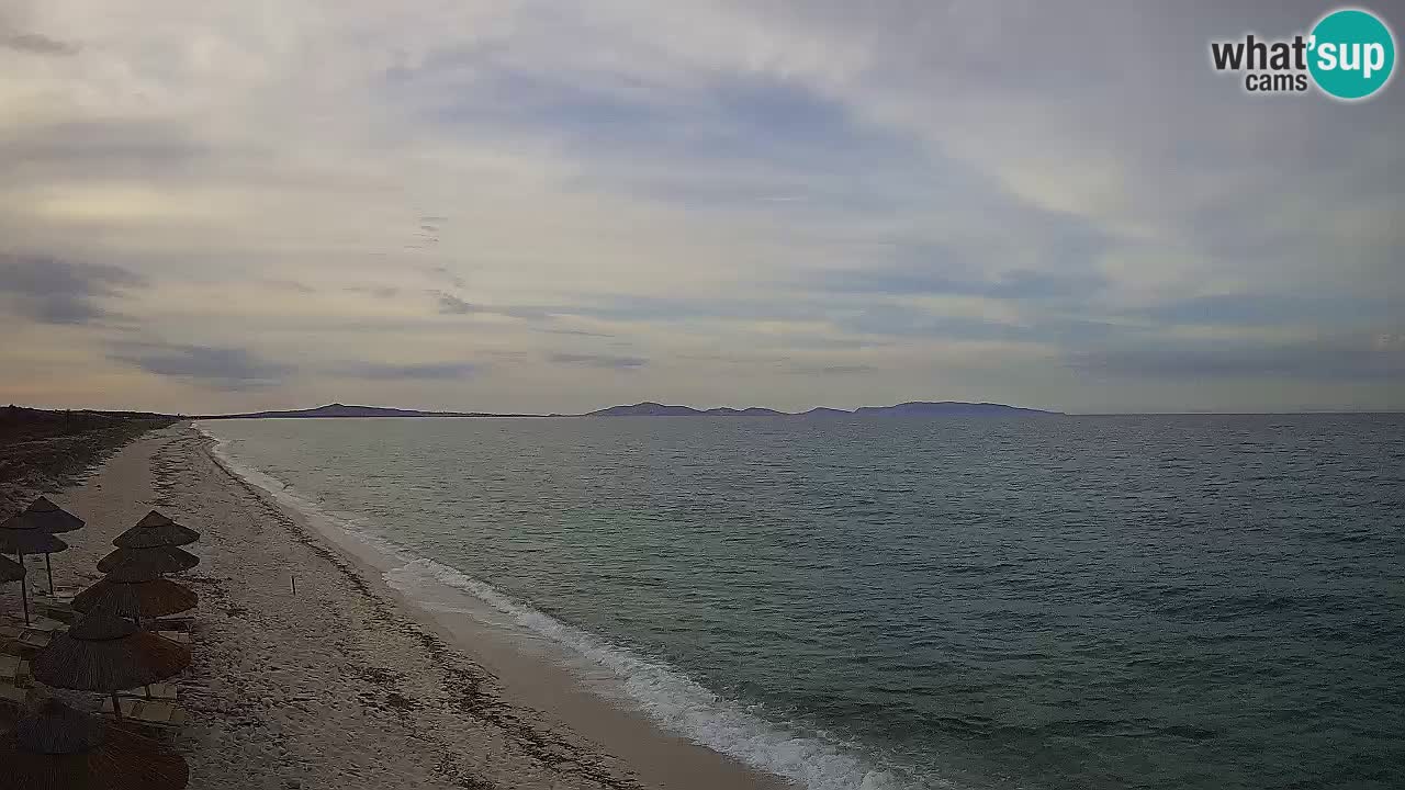 Plaža Le Saline spletna kamera Stintino – Sardinija
