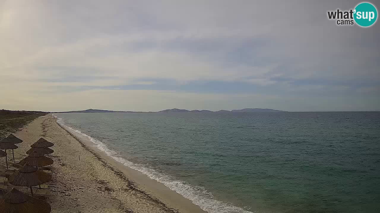Playa Le Saline camera en vivo Stintino – Cerdeña