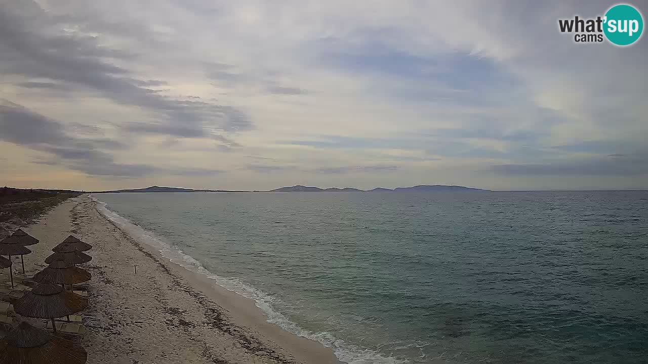 Plaža Le Saline web kamera Stintino – Sardinija