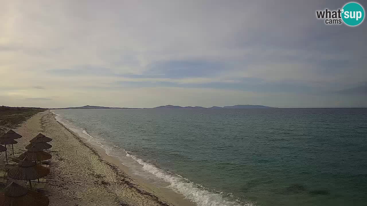 Plaža Le Saline spletna kamera Stintino – Sardinija