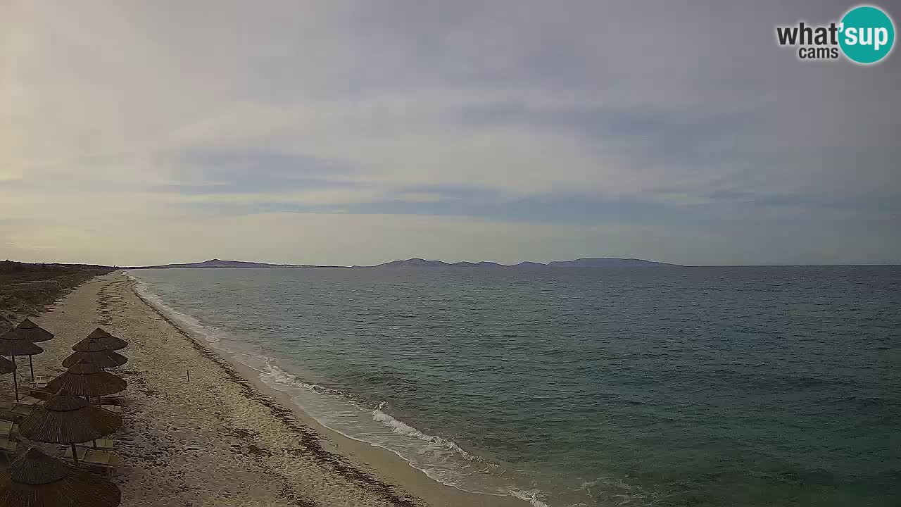Playa Le Saline camera en vivo Stintino – Cerdeña