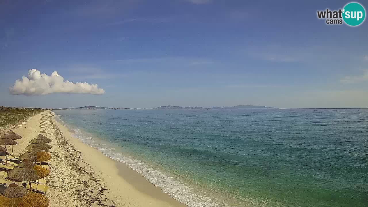 Spiaggia Le Saline webcam Stintino – Sardegna