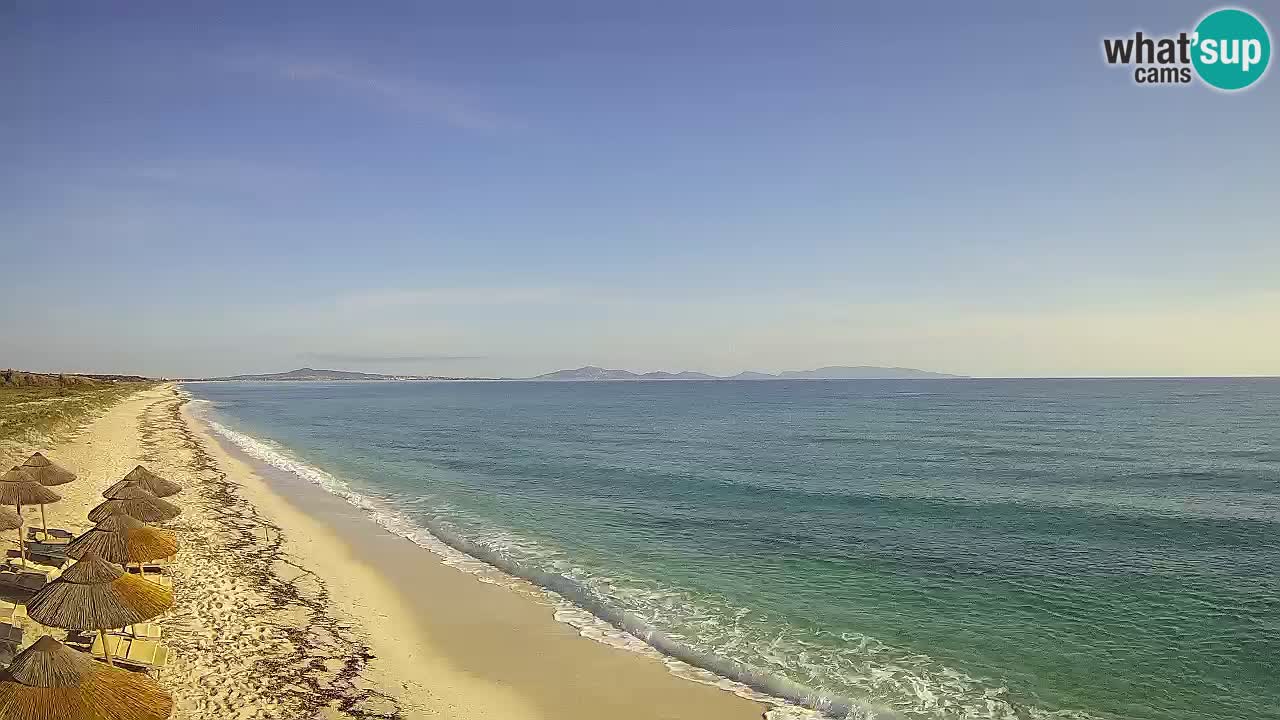 Playa Le Saline camera en vivo Stintino – Cerdeña