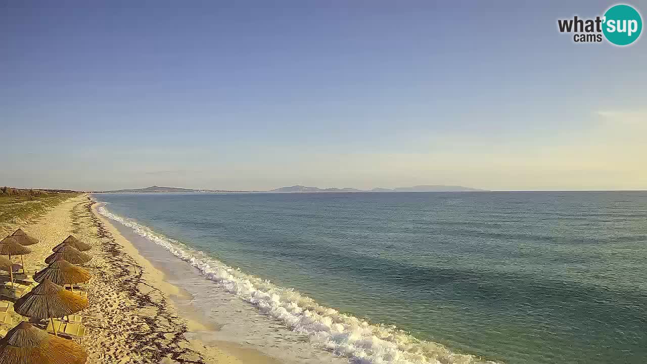 Spiaggia Le Saline webcam Stintino – Sardegna