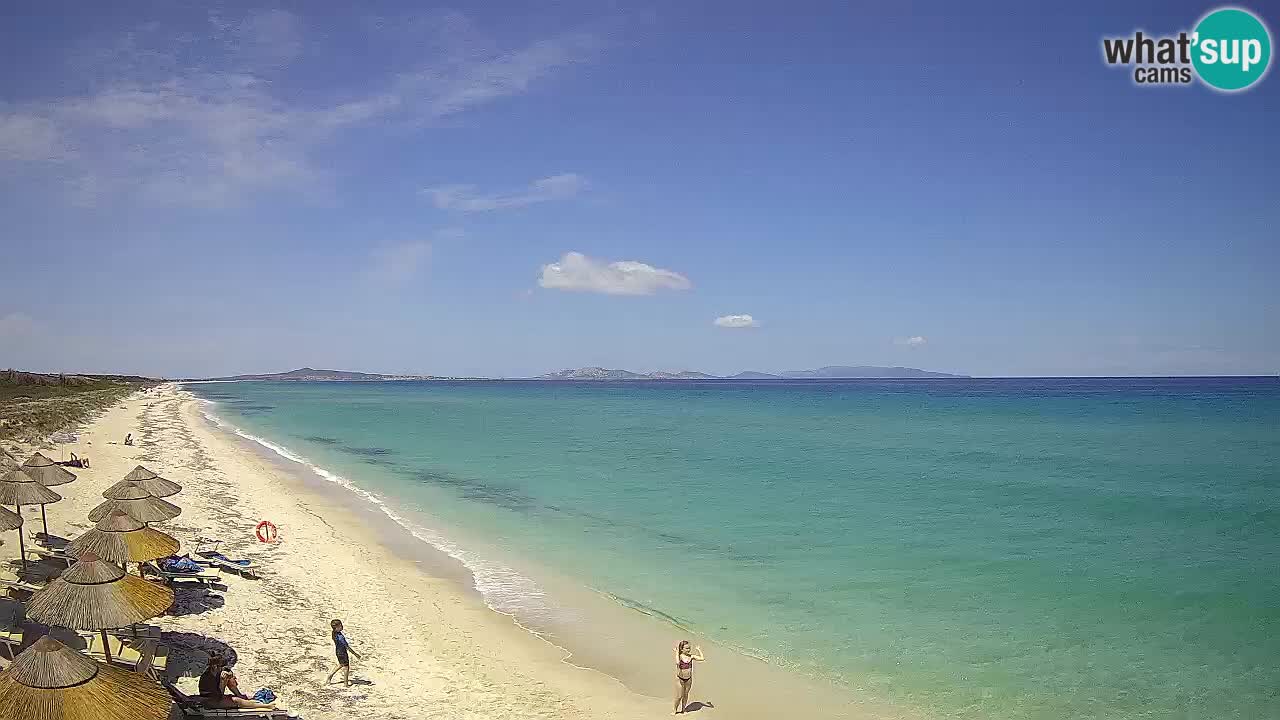 Plaža Le Saline spletna kamera Stintino – Sardinija