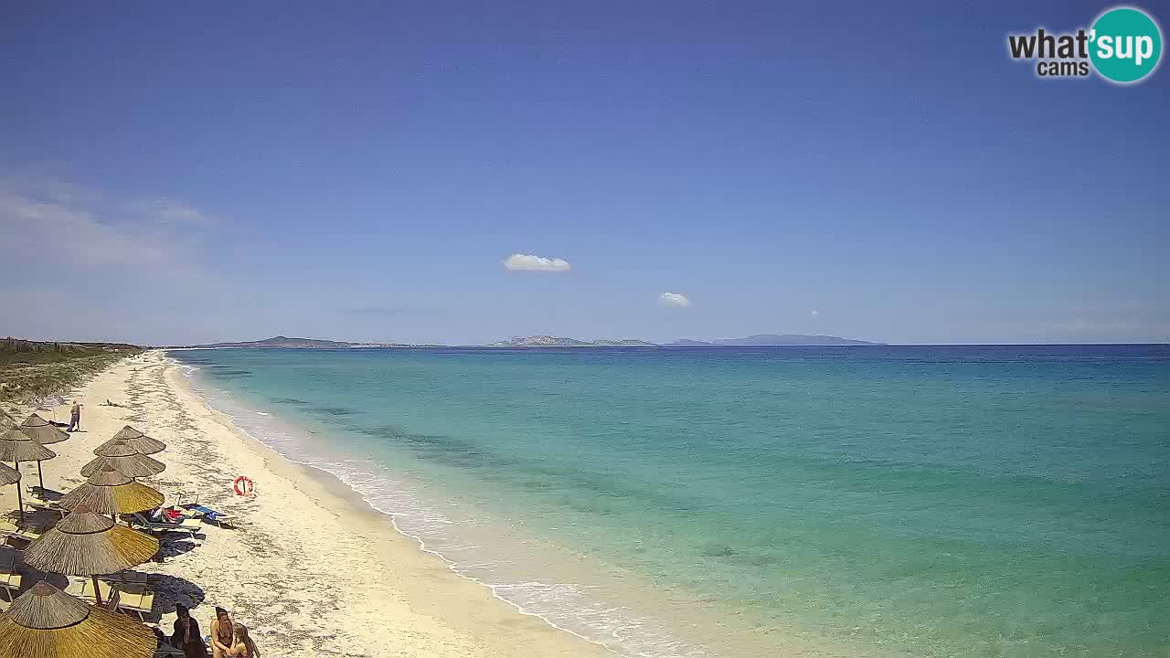 Plaža Le Saline spletna kamera Stintino – Sardinija