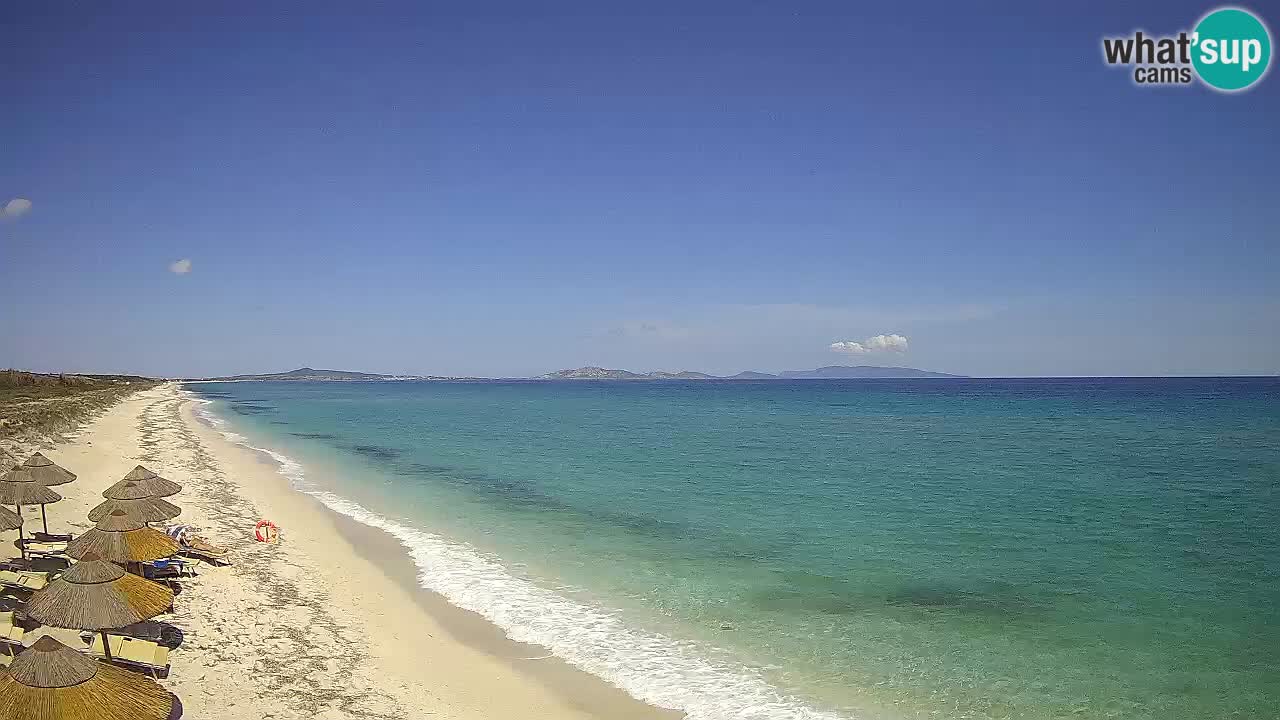 Plaža Le Saline spletna kamera Stintino – Sardinija