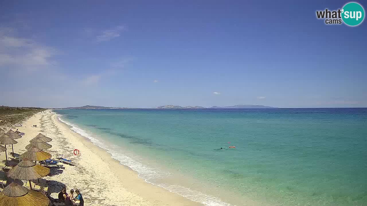 Plaža Le Saline web kamera Stintino – Sardinija