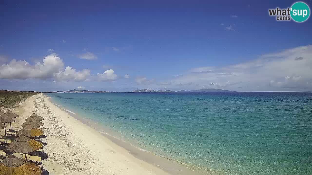 Strand Le Saline webcam Stintino – Sardinien