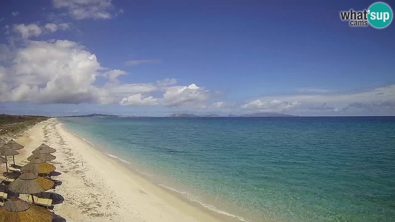 Plage Le Saline Live cam Stintino – Sardaigne