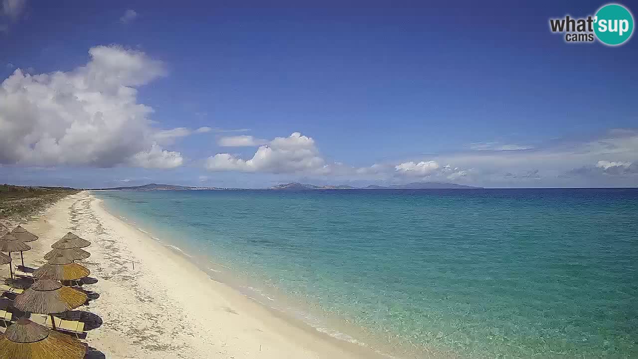 Spiaggia Le Saline webcam Stintino – Sardegna