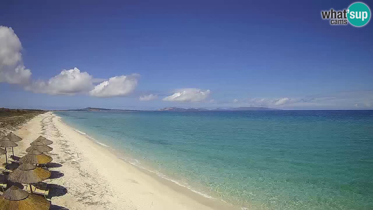Playa Le Saline camera en vivo Stintino – Cerdeña