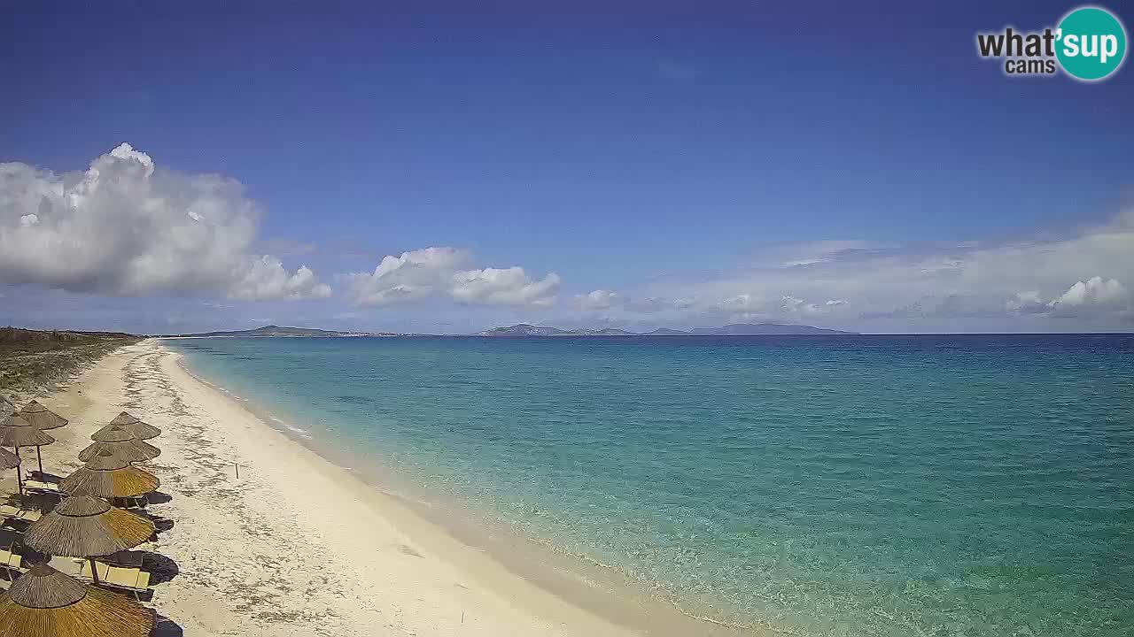 Spiaggia Le Saline webcam Stintino – Sardegna