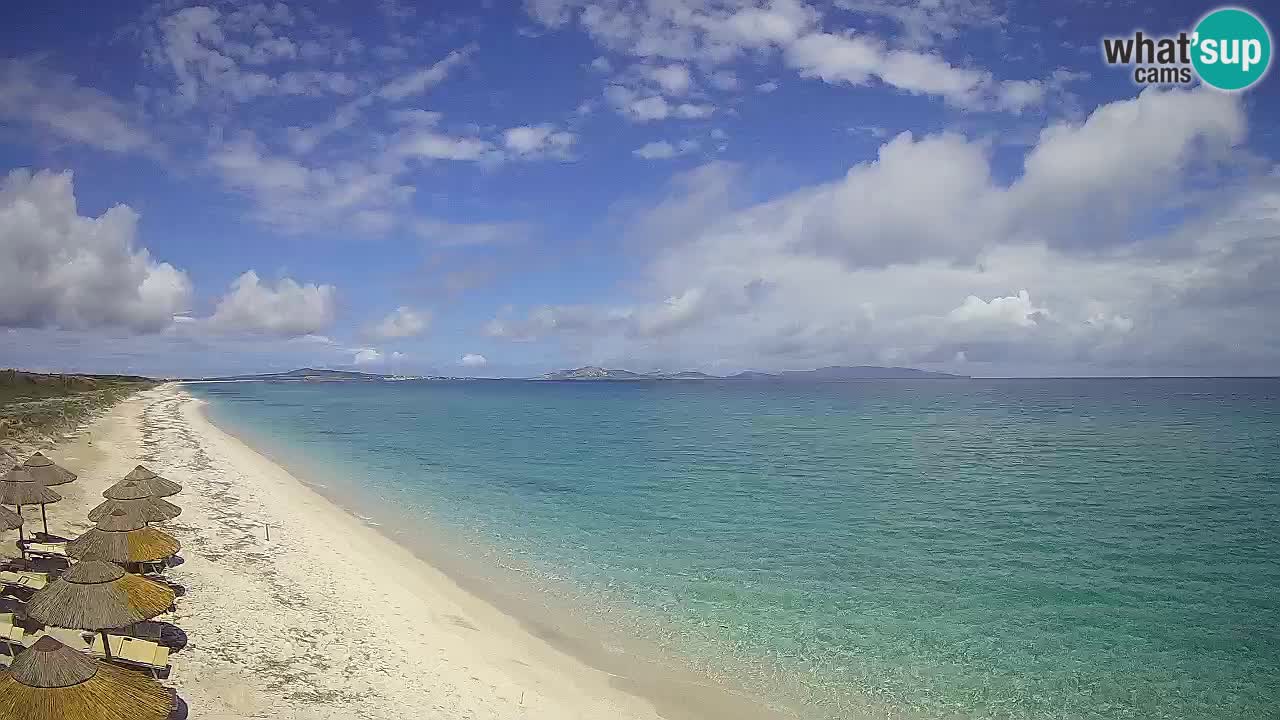 Plaža Le Saline web kamera Stintino – Sardinija