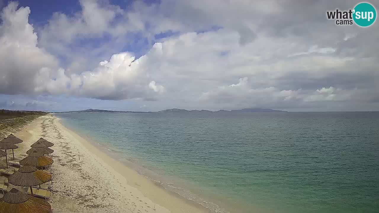 Strand Le Saline webcam Stintino – Sardinien