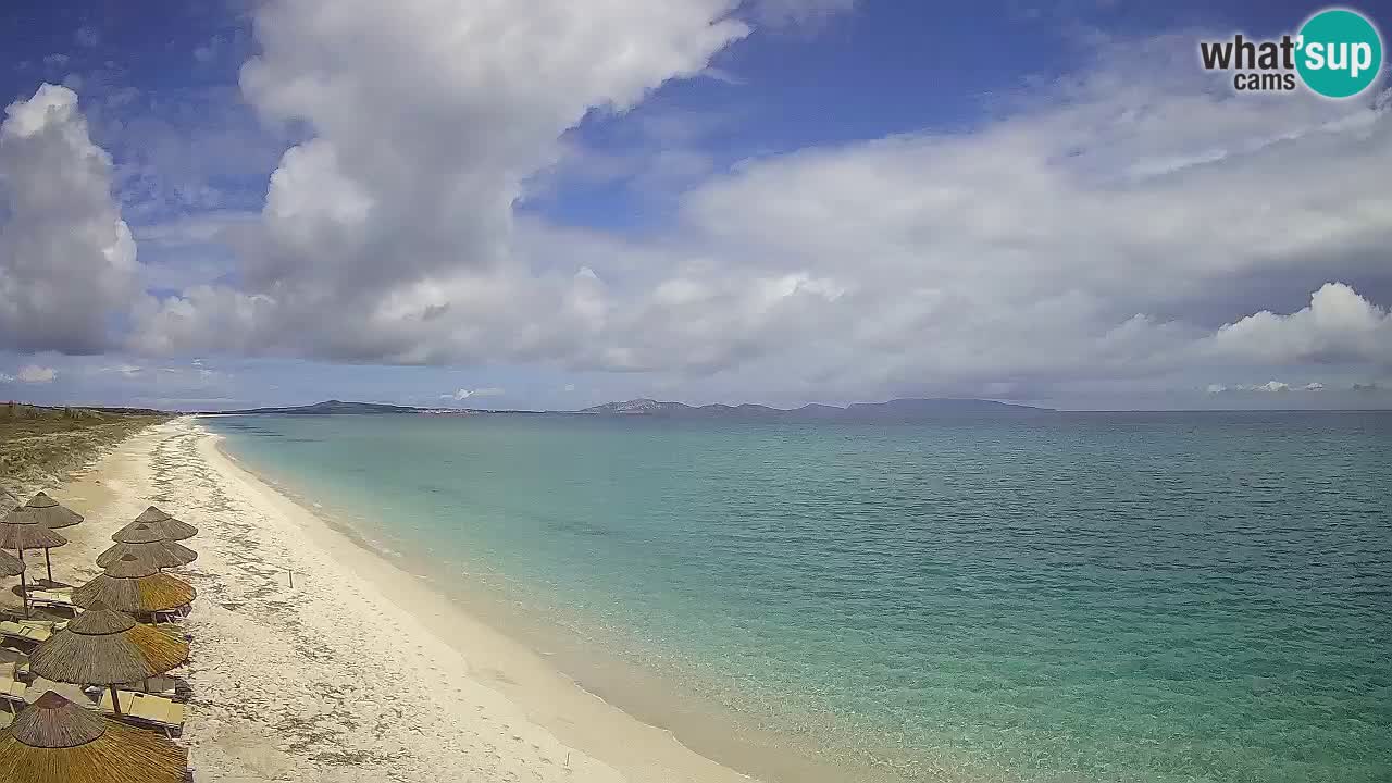 Beach Le Saline webcam live Stintino – Sardinia