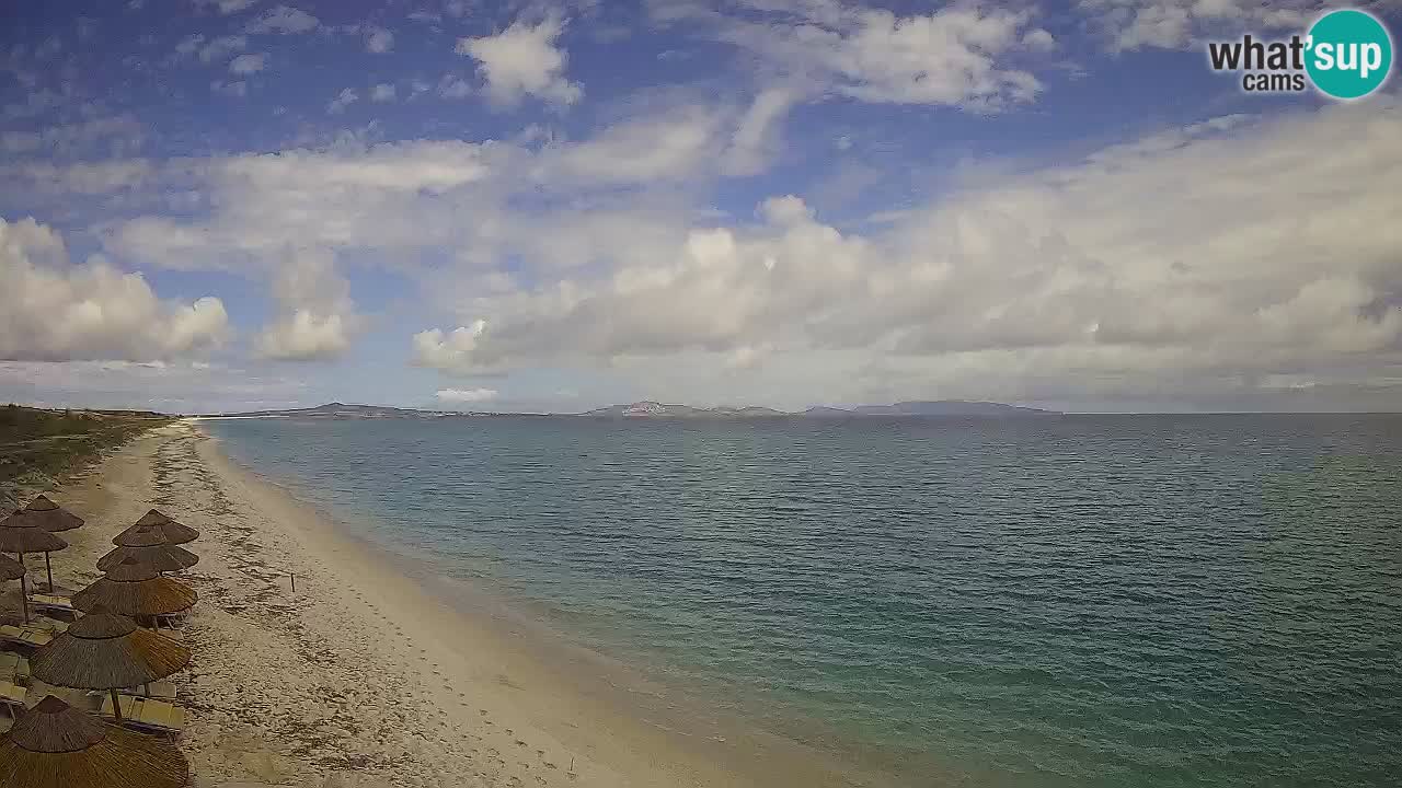 Spiaggia Le Saline webcam Stintino – Sardegna