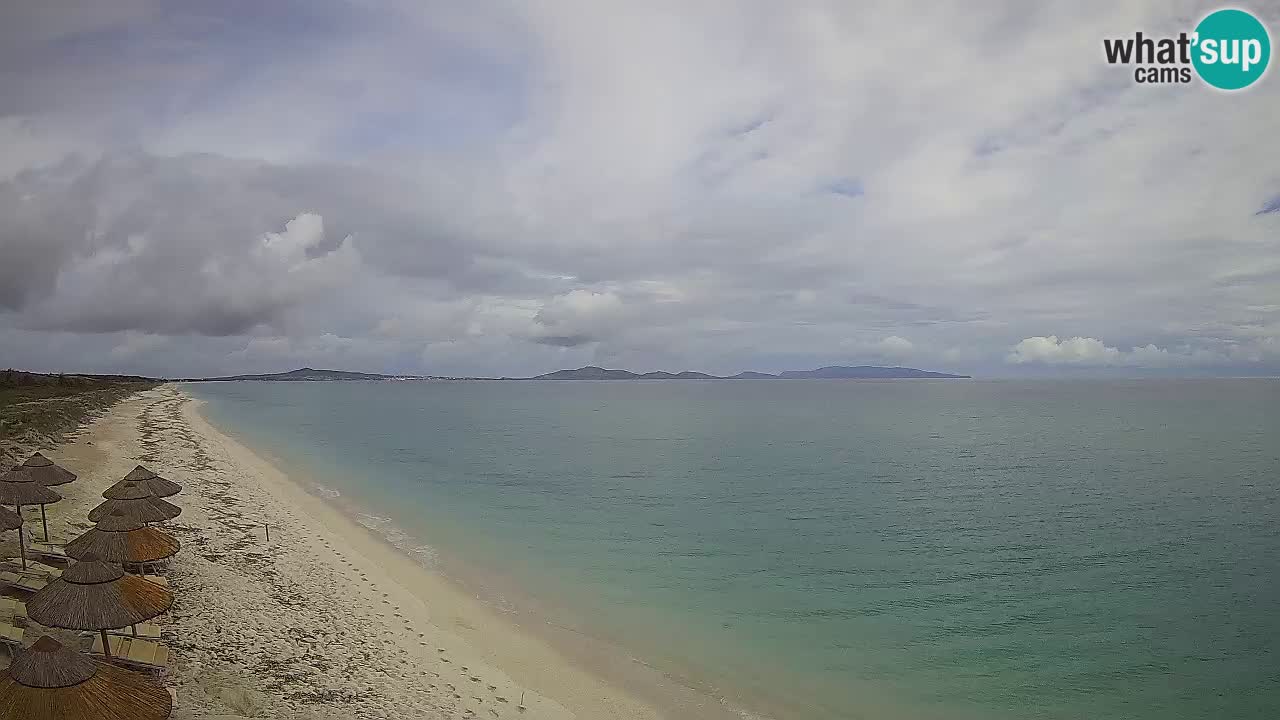 Beach Le Saline webcam live Stintino – Sardinia