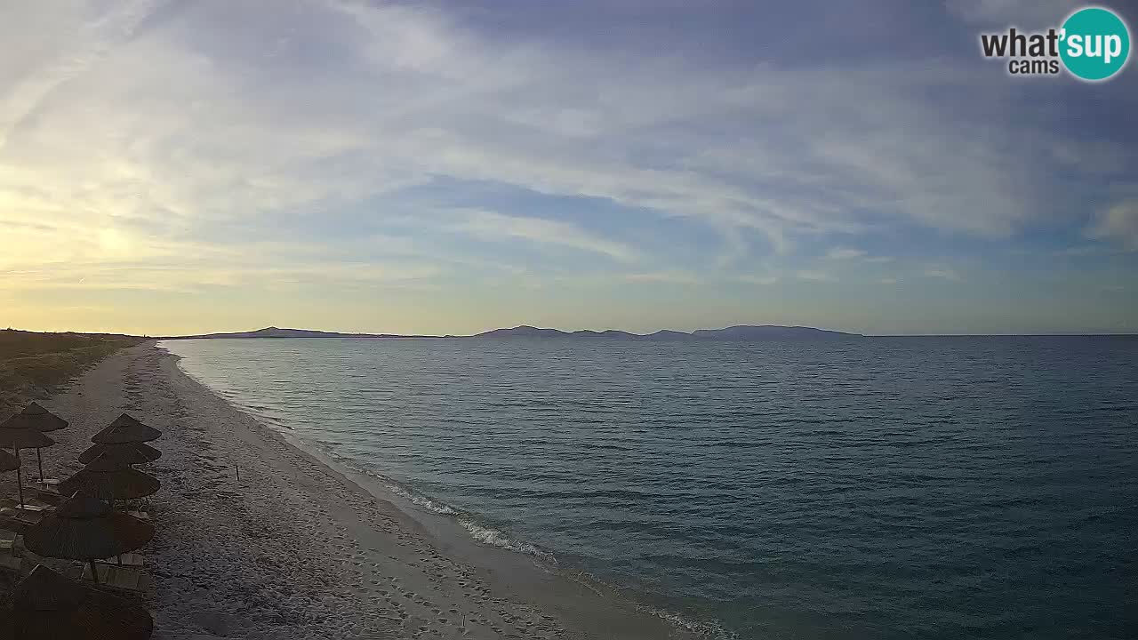 Spiaggia Le Saline webcam Stintino – Sardegna