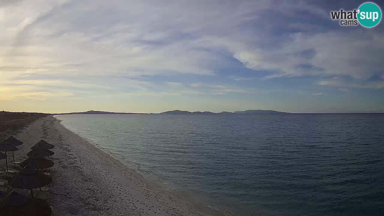 Beach Le Saline webcam live Stintino – Sardinia