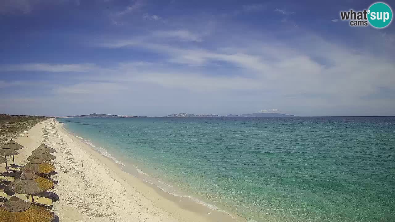 Beach Le Saline webcam live Stintino – Sardinia
