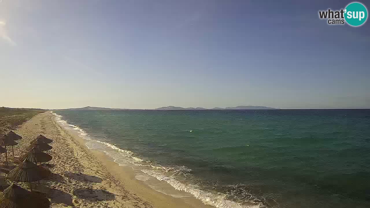 Beach Le Saline webcam live Stintino – Sardinia