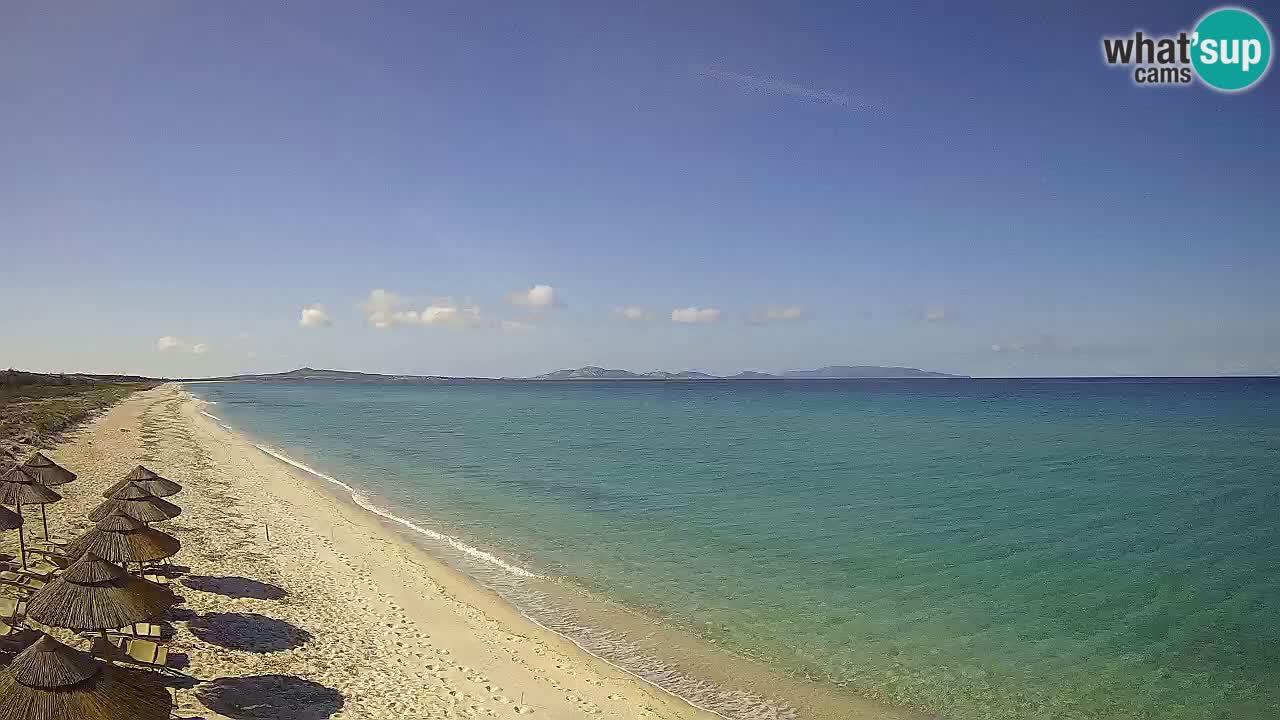 Playa Le Saline camera en vivo Stintino – Cerdeña