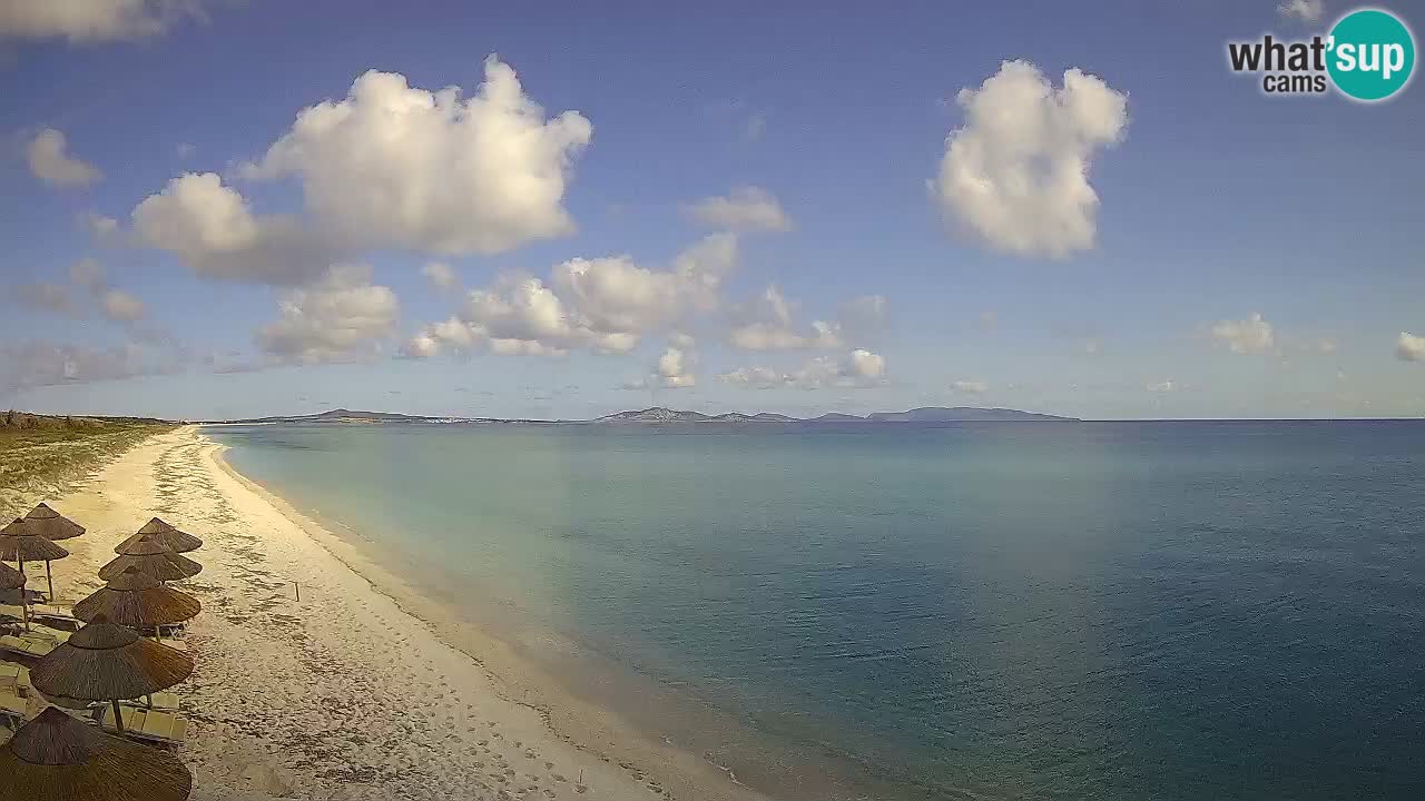 Beach Le Saline webcam live Stintino – Sardinia