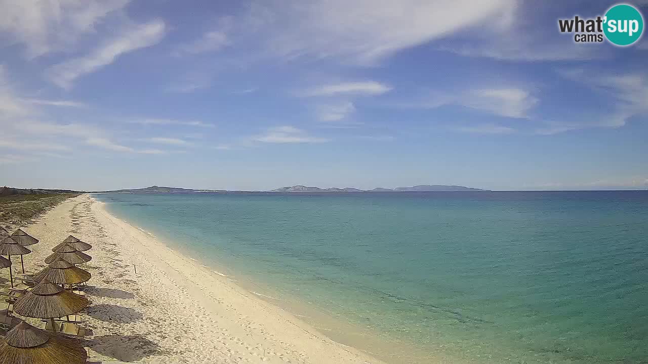 Playa Le Saline camera en vivo Stintino – Cerdeña