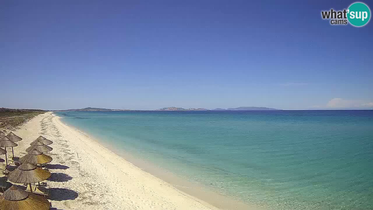 Plaža Le Saline spletna kamera Stintino – Sardinija