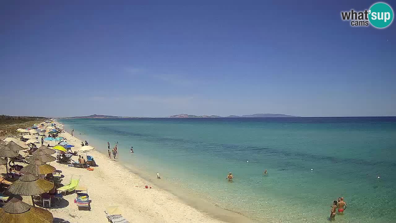 Plage Le Saline Live cam Stintino – Sardaigne