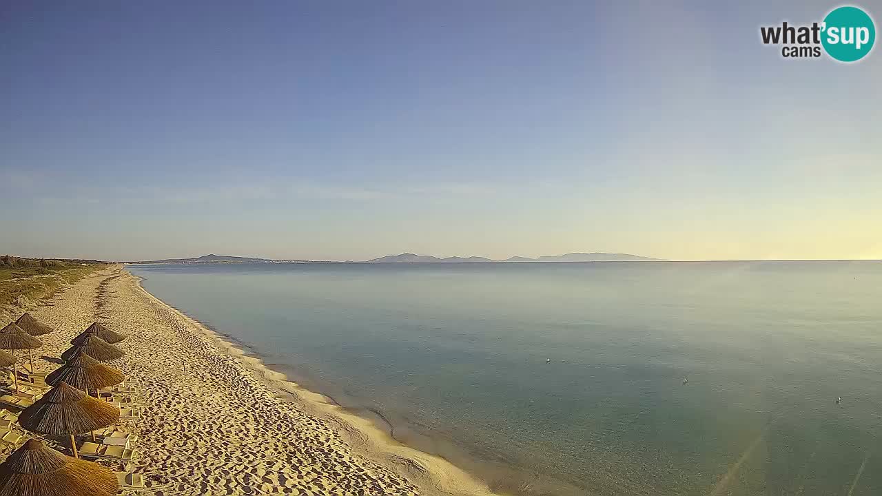 Playa Le Saline camera en vivo Stintino – Cerdeña