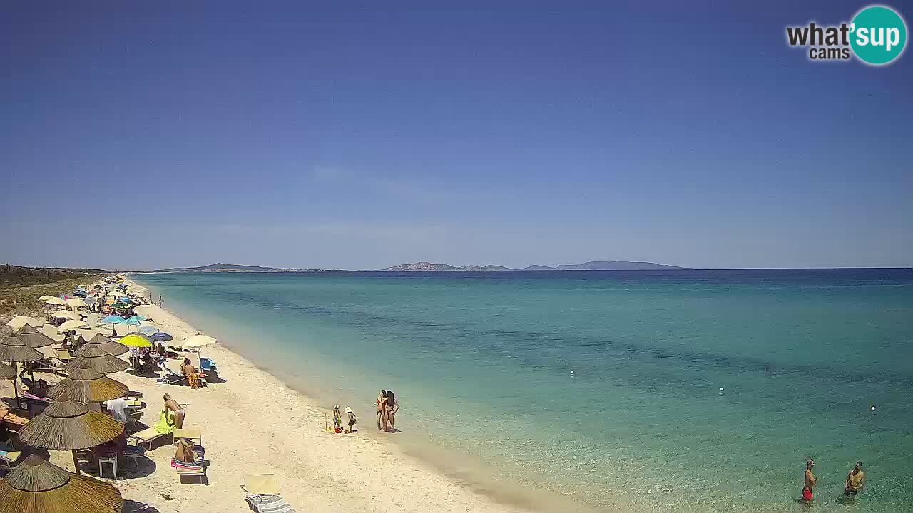 Beach Le Saline webcam live Stintino – Sardinia