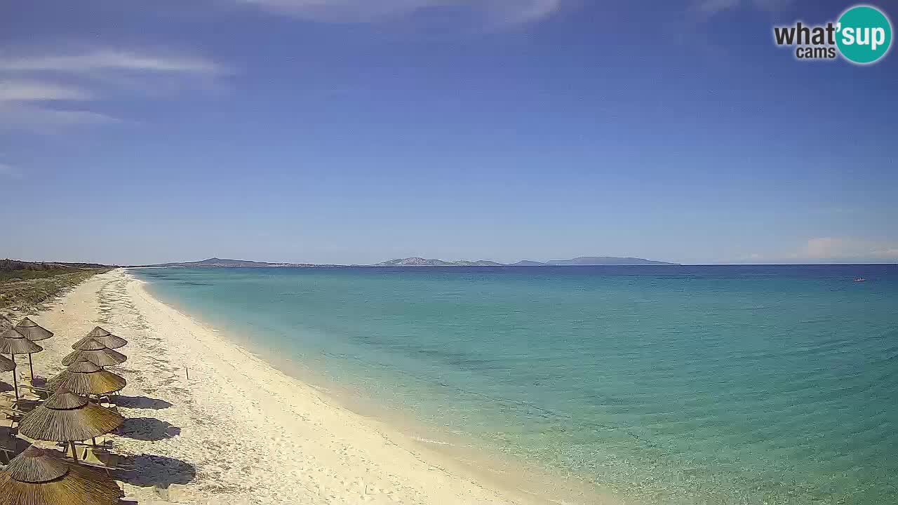 Beach Le Saline webcam live Stintino – Sardinia