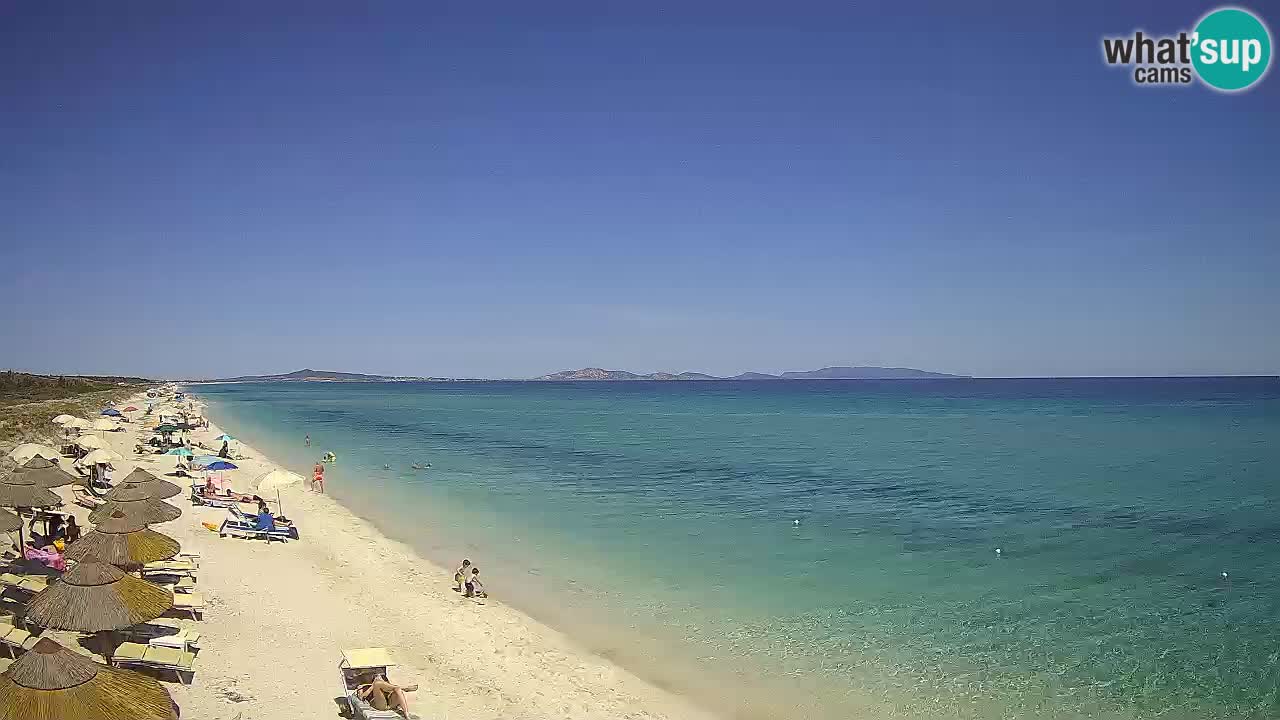 Plage Le Saline Live cam Stintino – Sardaigne