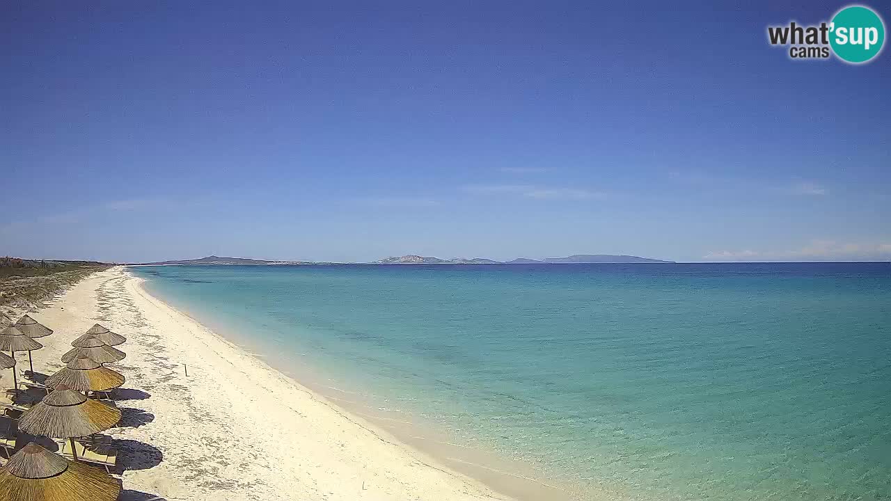 Plaža Le Saline spletna kamera Stintino – Sardinija