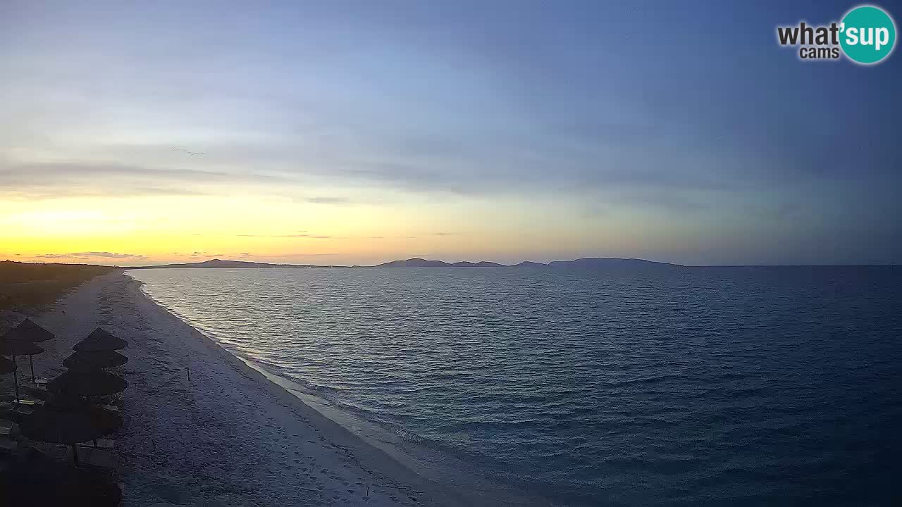 Strand Le Saline webcam Stintino – Sardinien