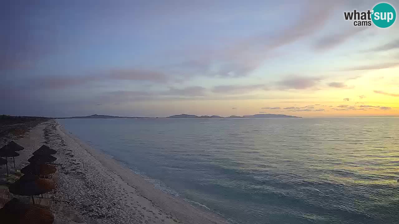 Strand Le Saline webcam Stintino – Sardinien