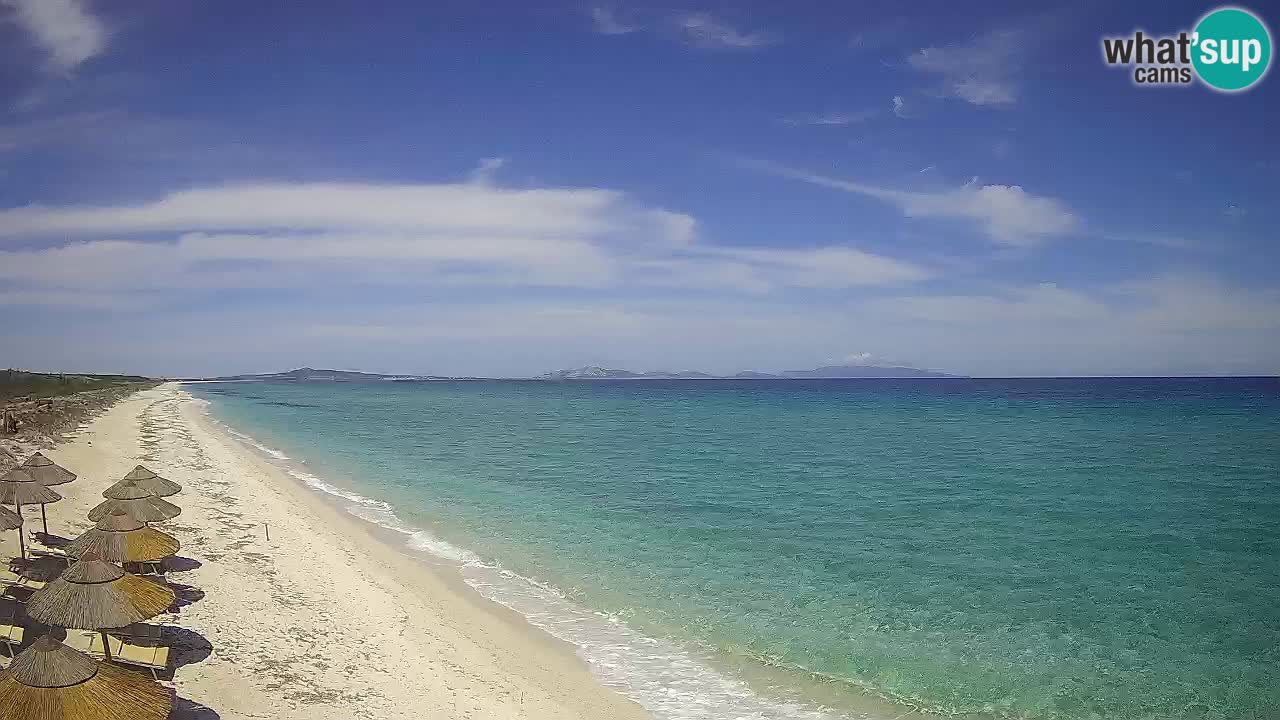 Strand Le Saline webcam Stintino – Sardinien