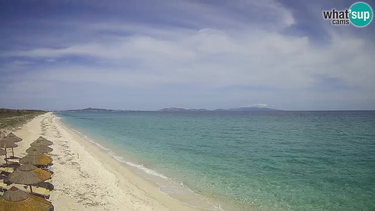 Strand Le Saline webcam Stintino – Sardinien