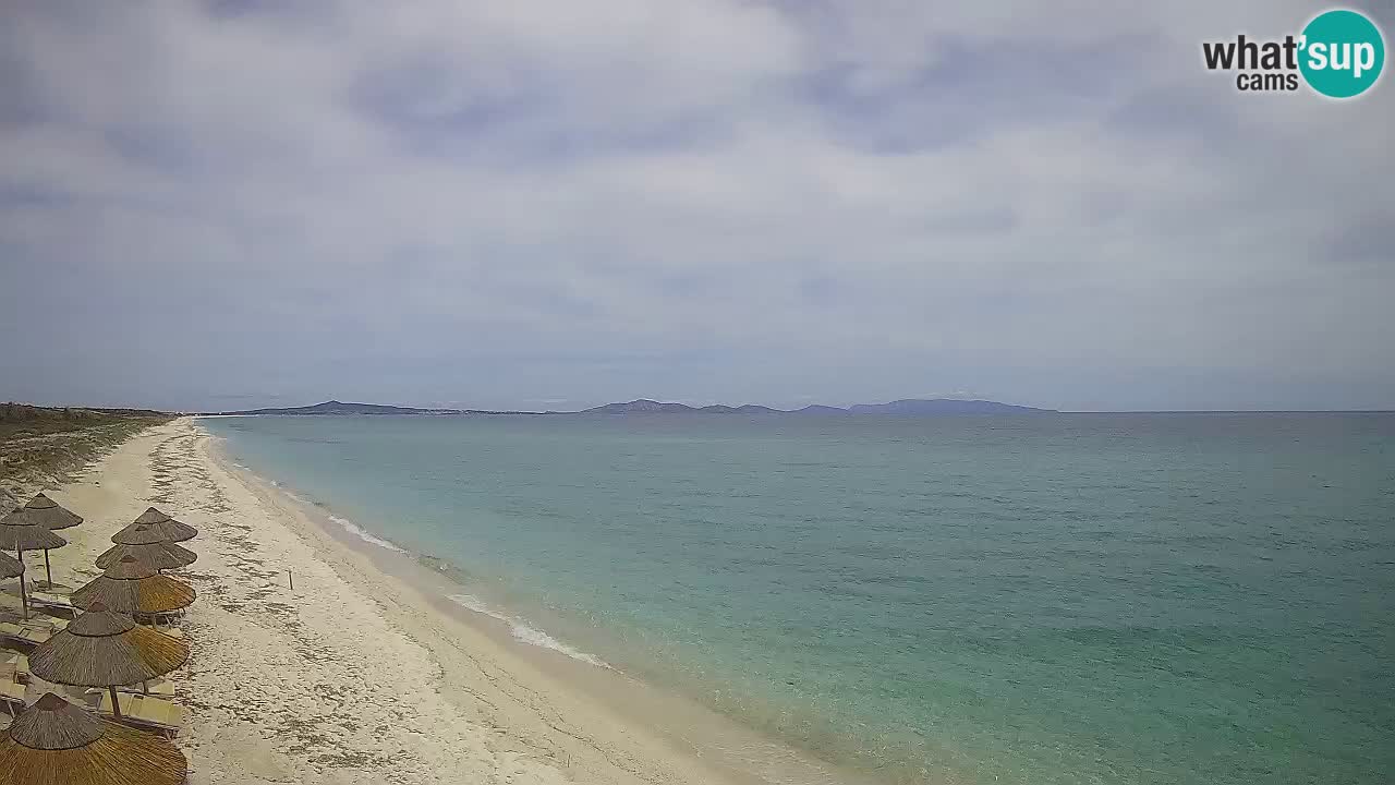 Plaža Le Saline spletna kamera Stintino – Sardinija