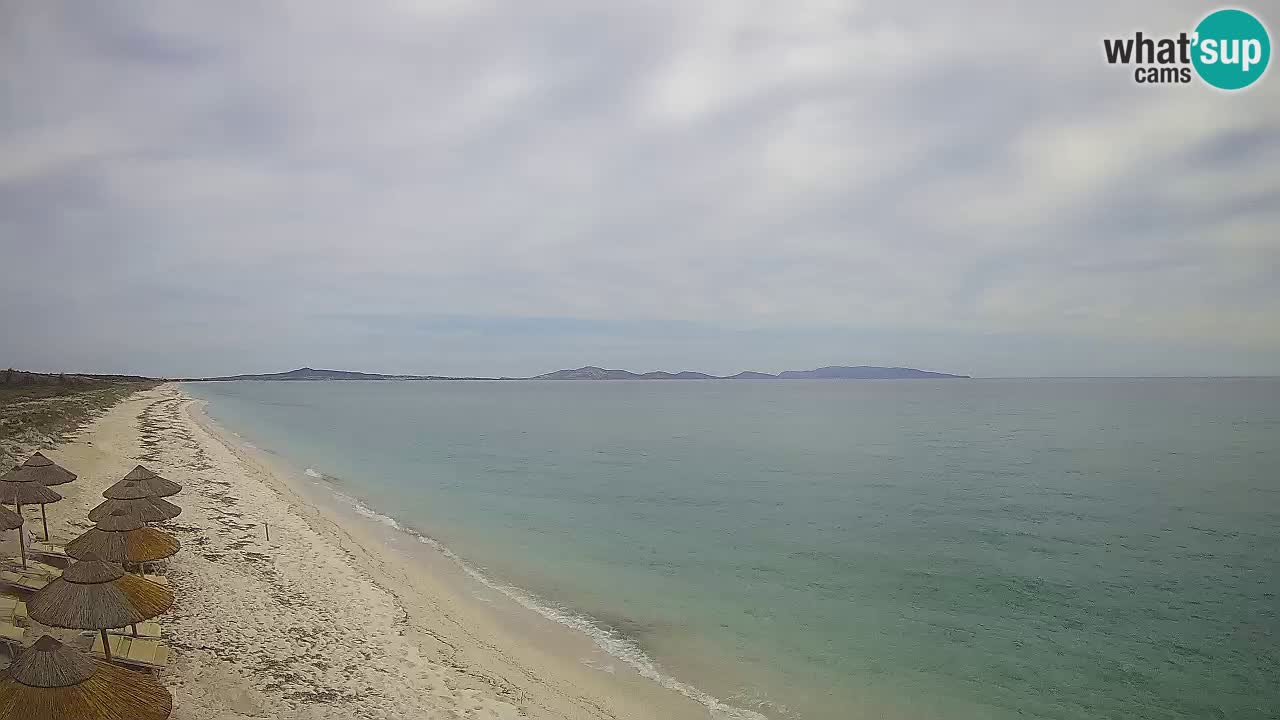 Beach Le Saline webcam live Stintino – Sardinia