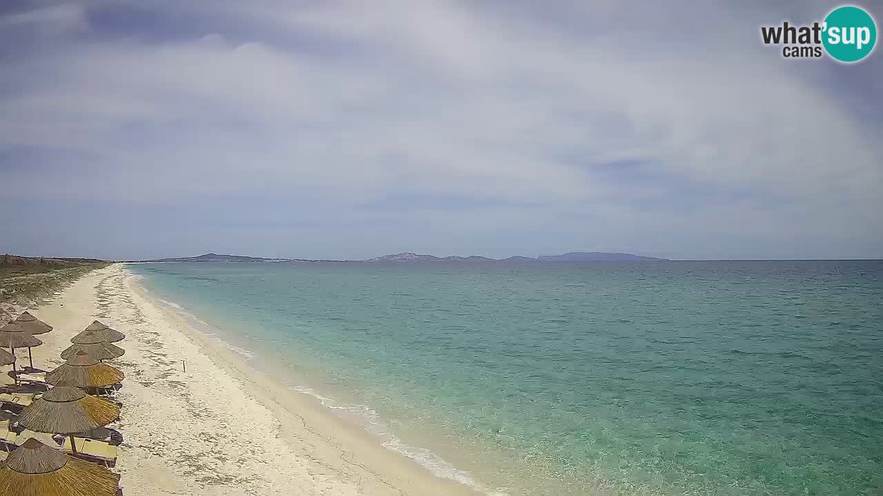 Beach Le Saline webcam live Stintino – Sardinia