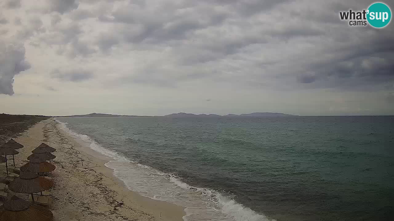 Spiaggia Le Saline webcam Stintino – Sardegna